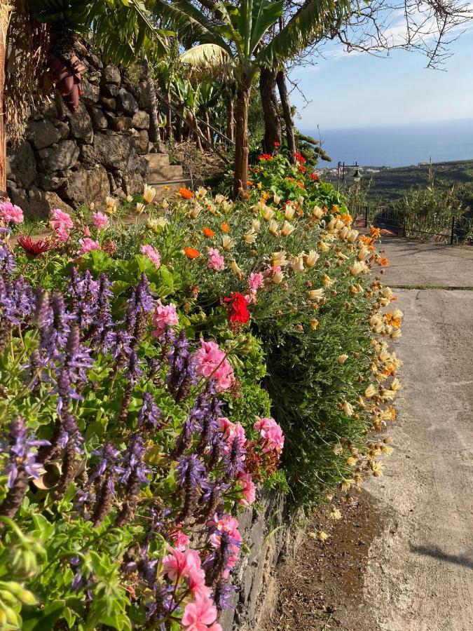 Fazenda Do Sousinha Hotel Funchal  Buitenkant foto